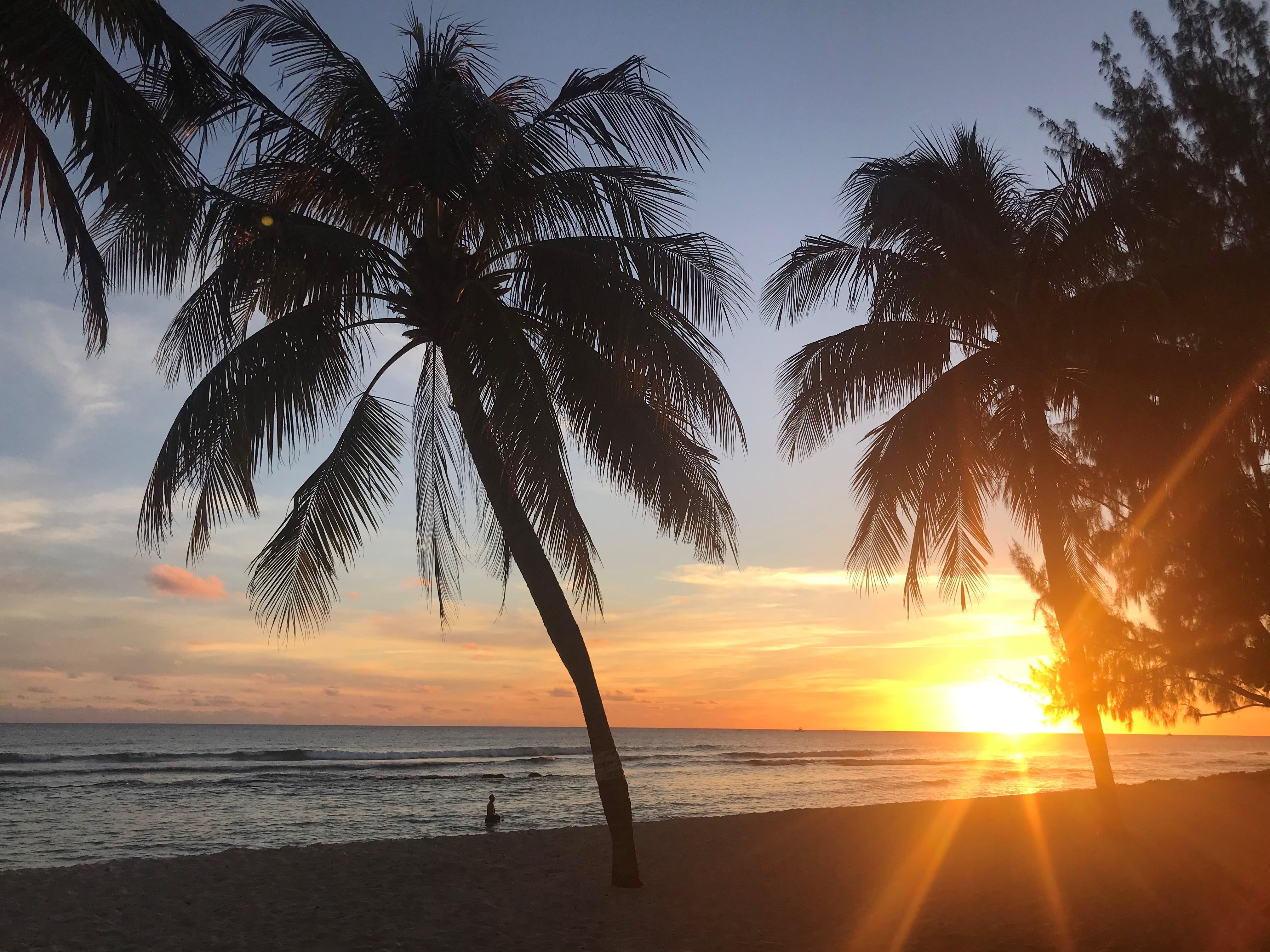 Coconut Court